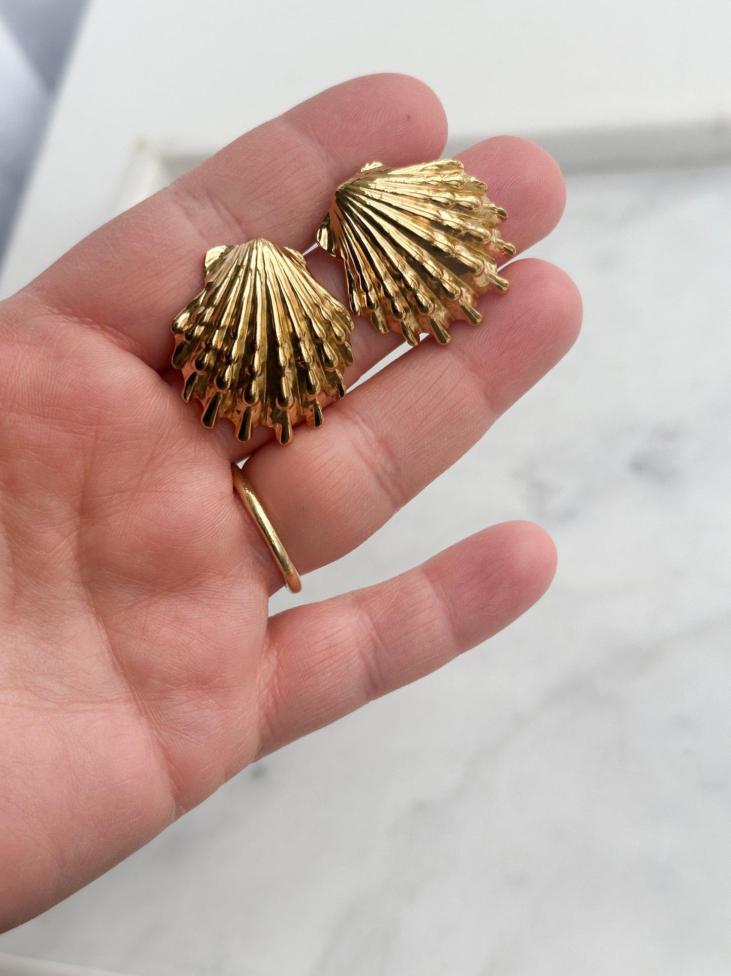 Large Scallop Earrings