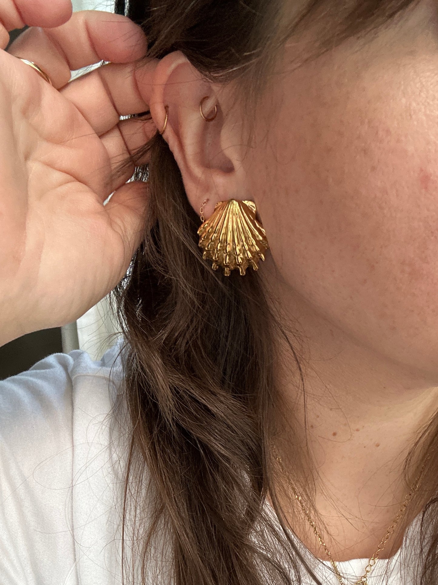 Large Scallop Earrings
