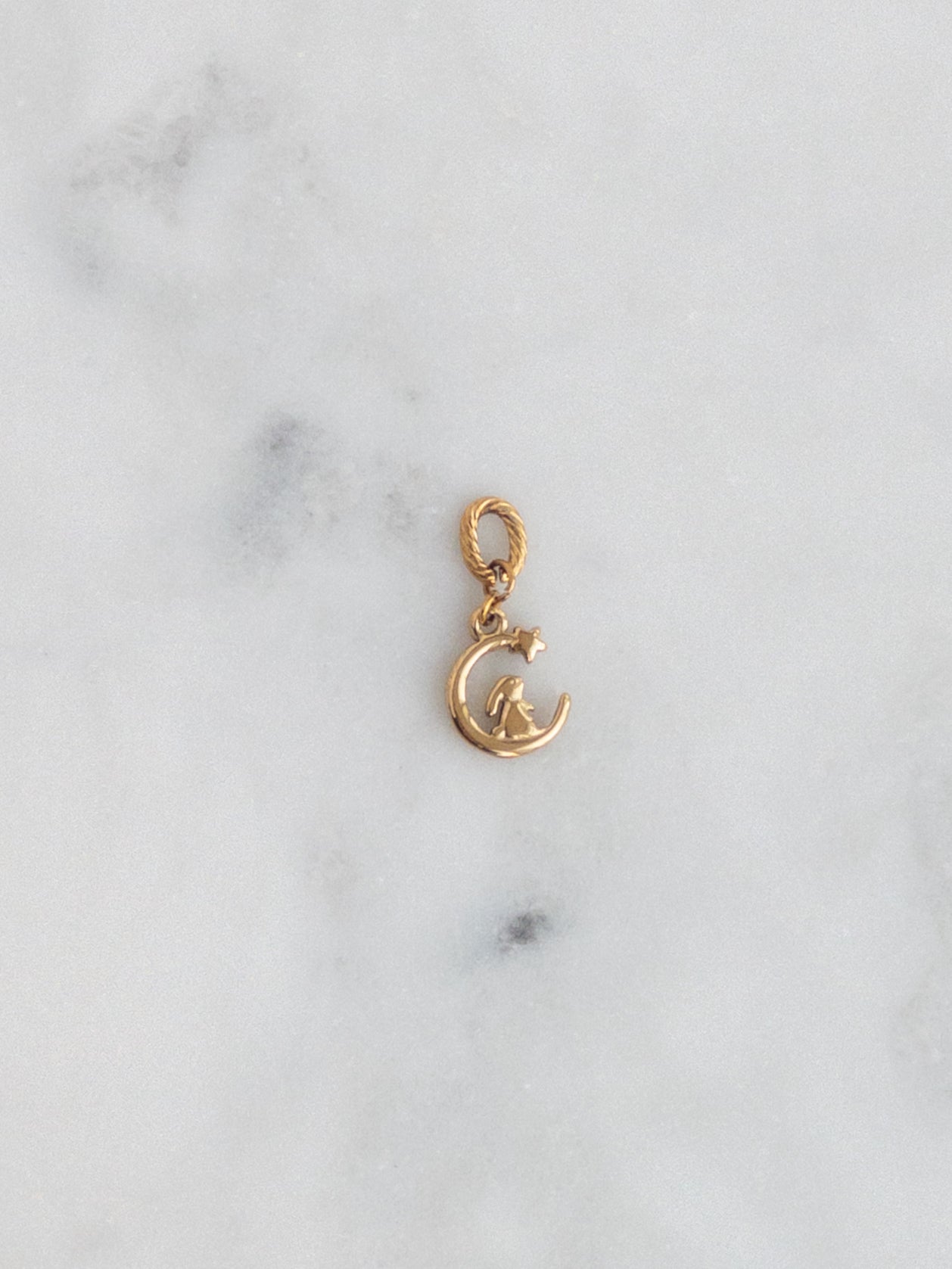 Bunny Moon Charm