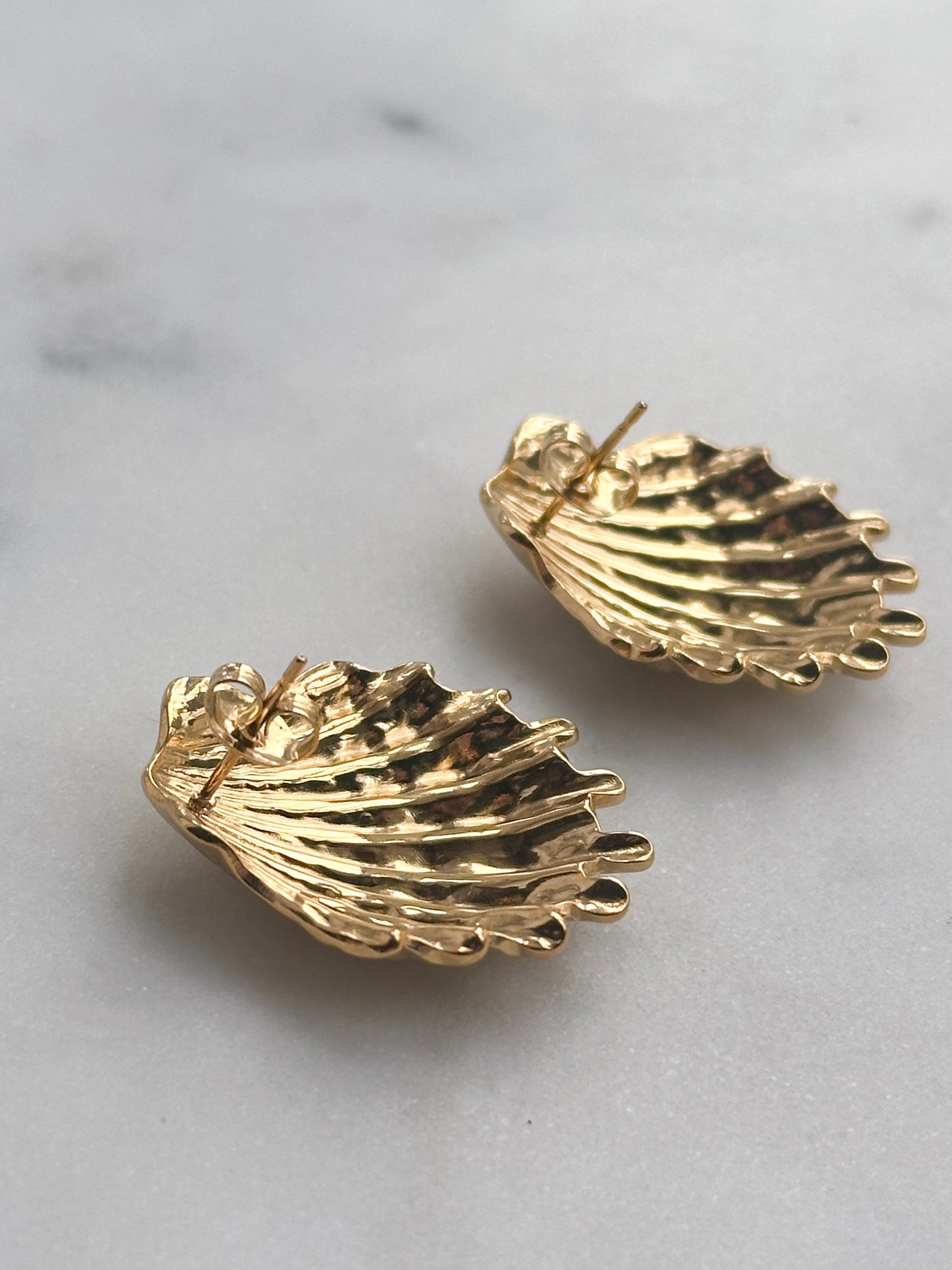 Large Scallop Earrings