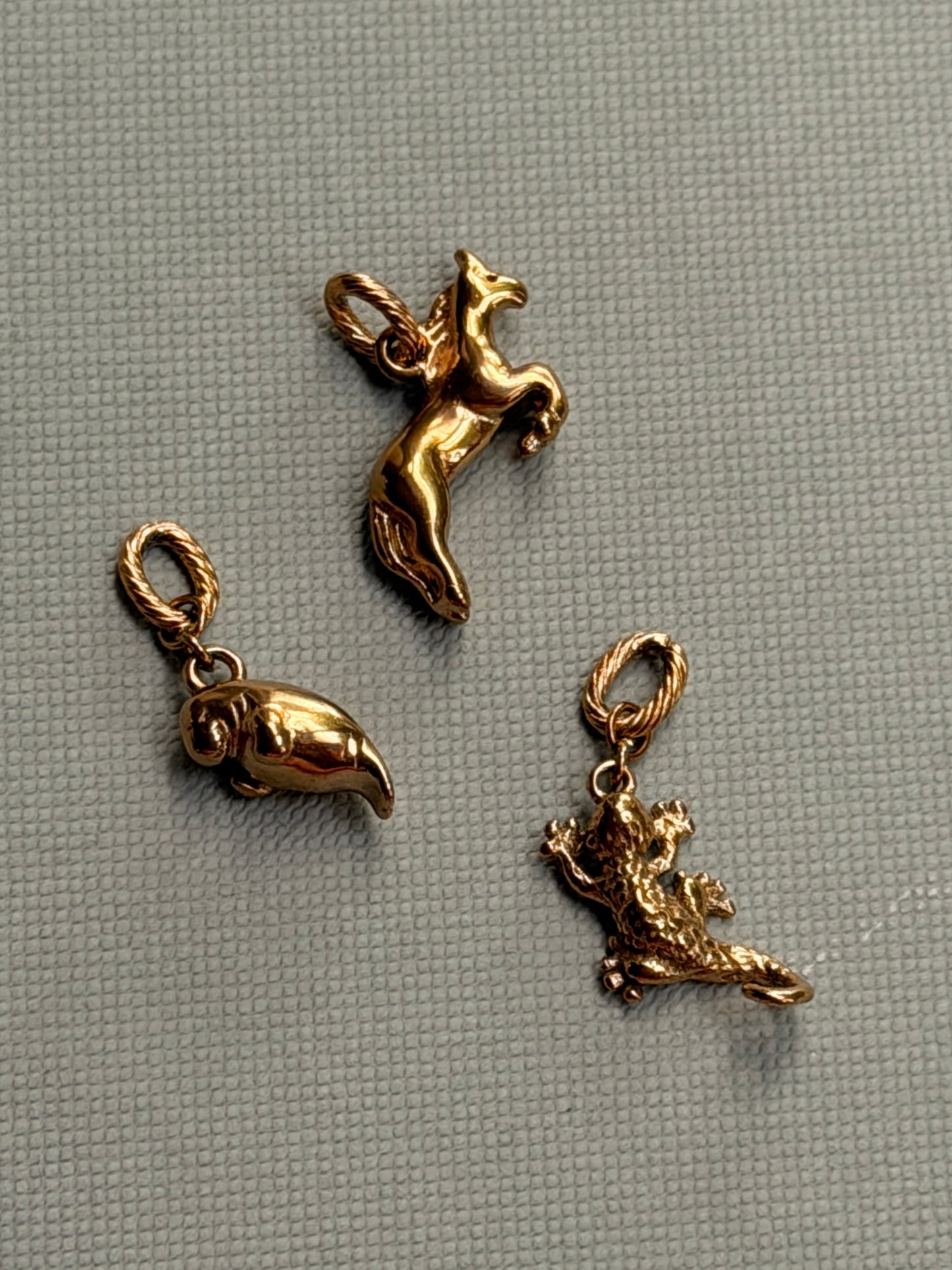 Lizard Charm