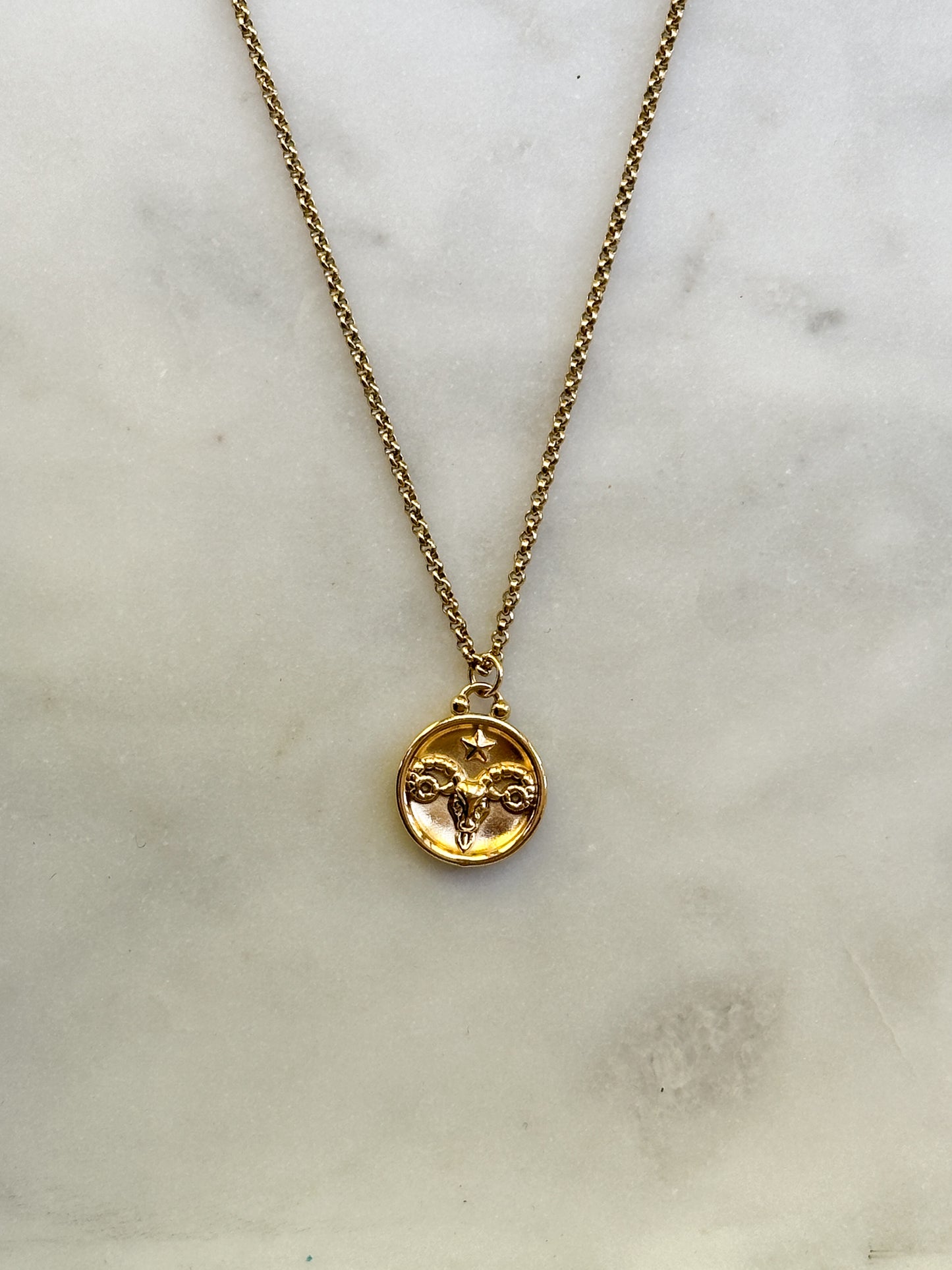 Double Sided Zodiac Pendant