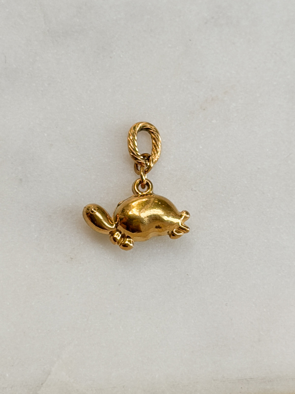 Turtle Charm