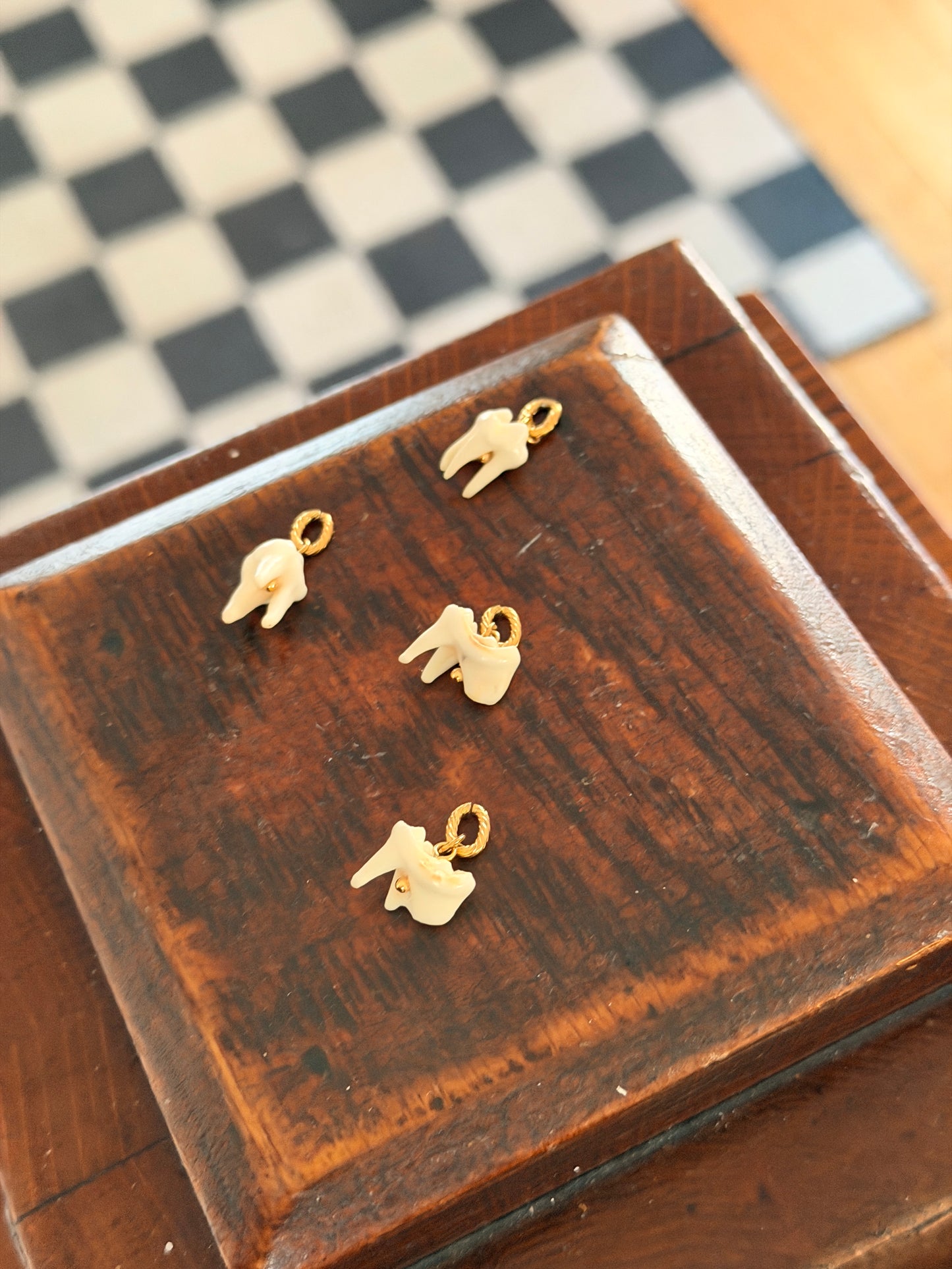 RANDOM Raccoon Tooth Charm