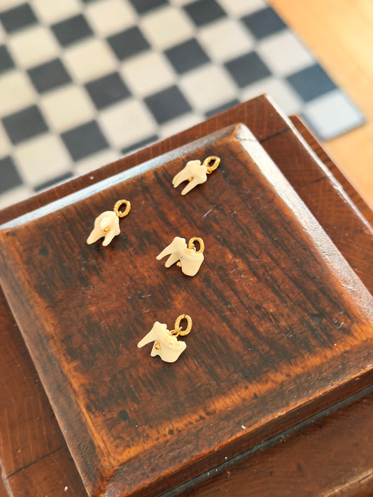 RANDOM Raccoon Tooth Charm