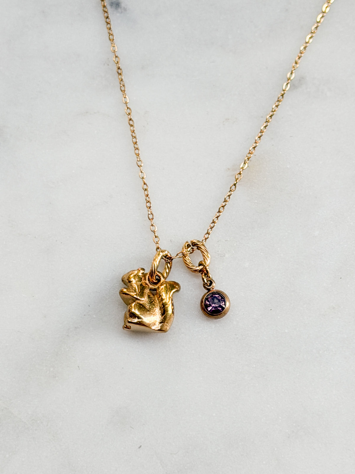 Squirrel Charm