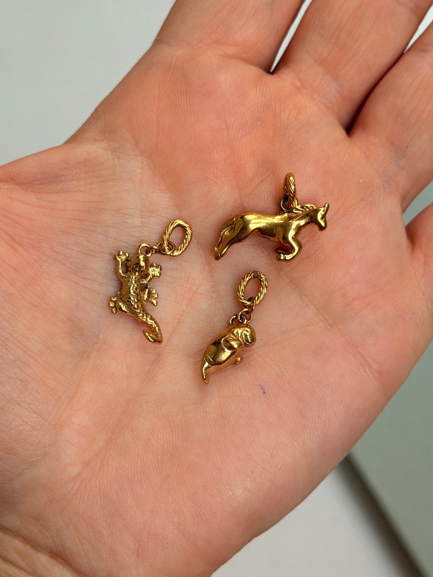 Lizard Charm