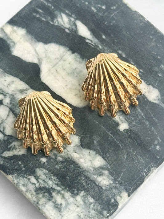 Large Scallop Earrings