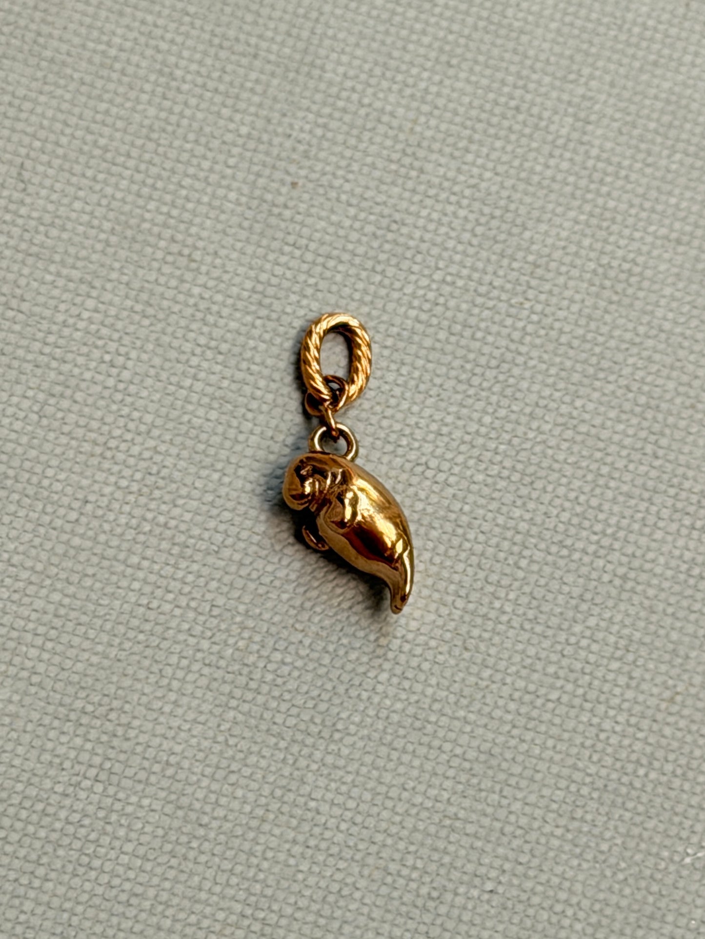 Manatee Charm