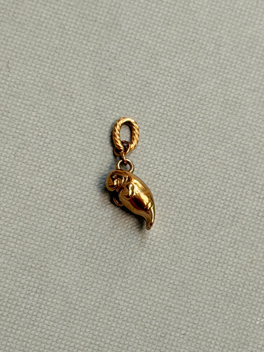 Manatee Charm