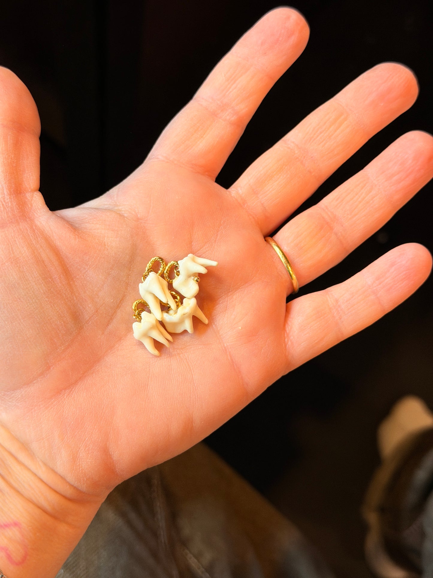 RANDOM Raccoon Tooth Charm