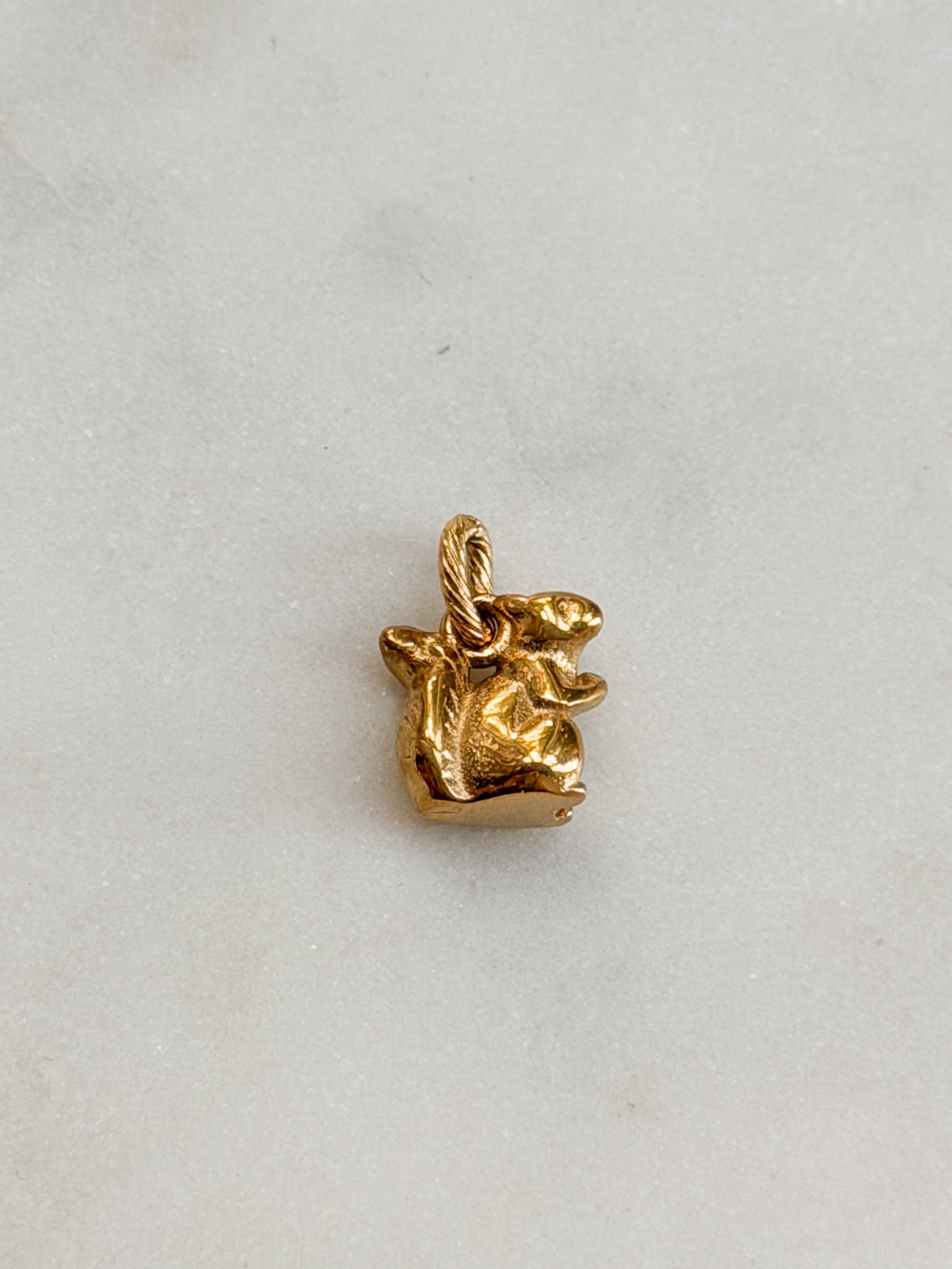 Squirrel Charm