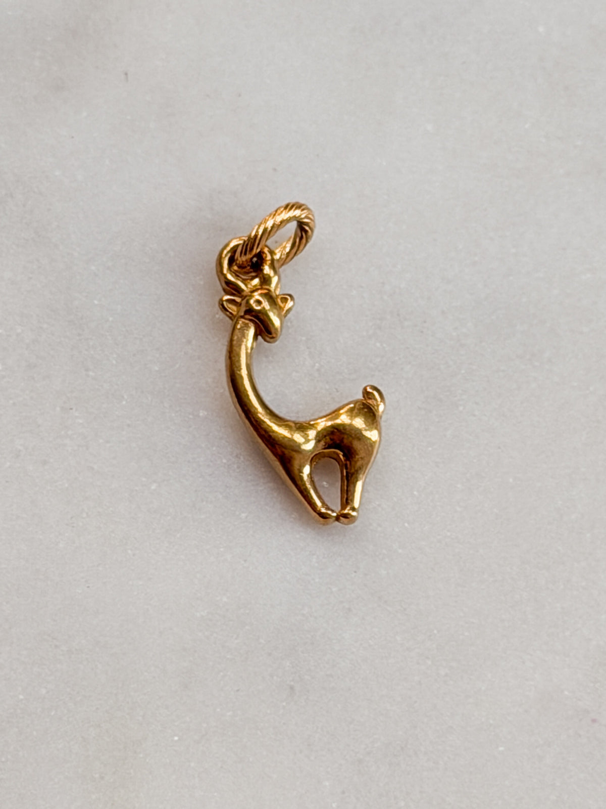 Giraffe Charm