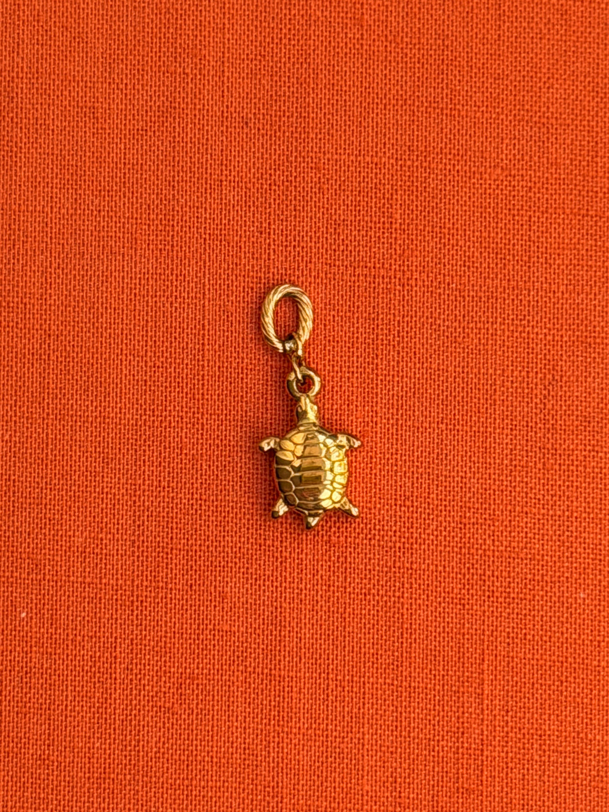 Sea Turtle Charm