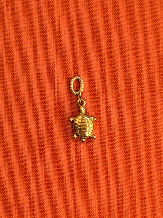Sea Turtle Charm