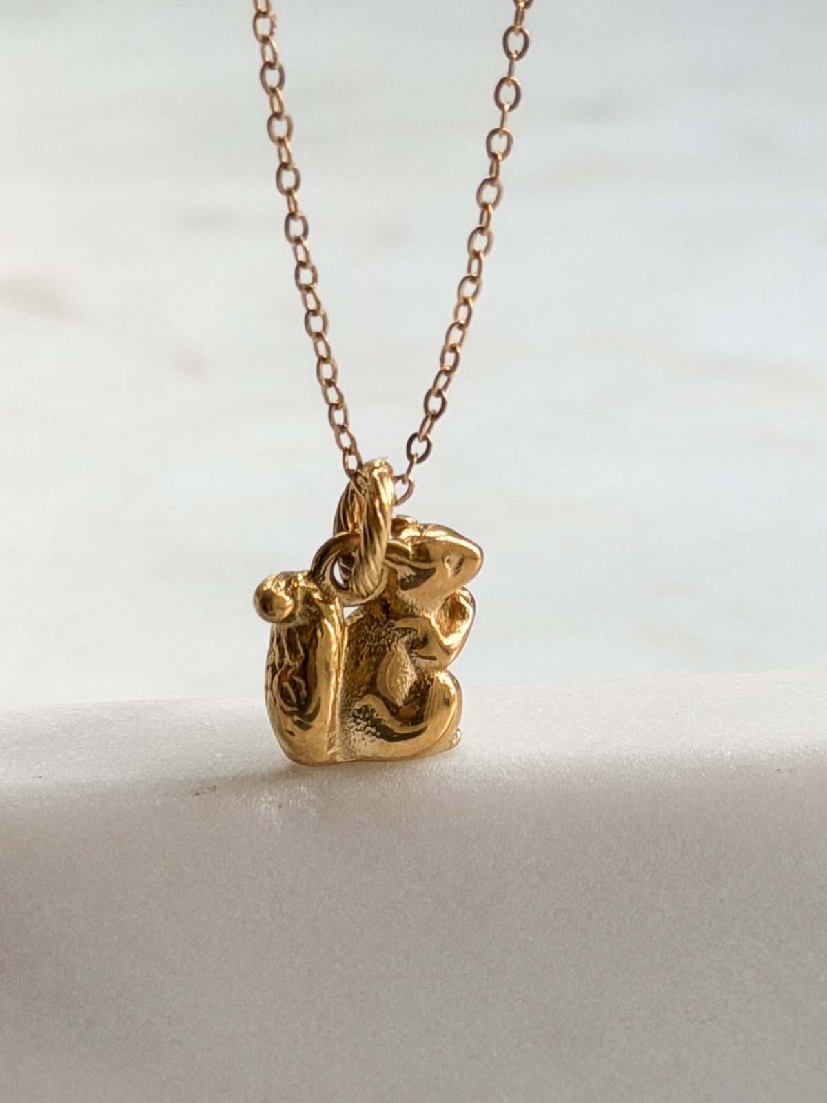 Squirrel Charm
