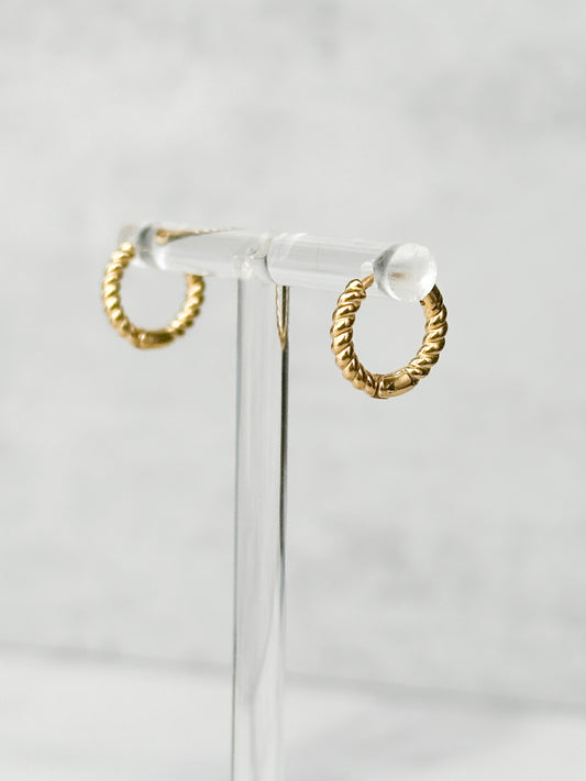 Dani Earrings