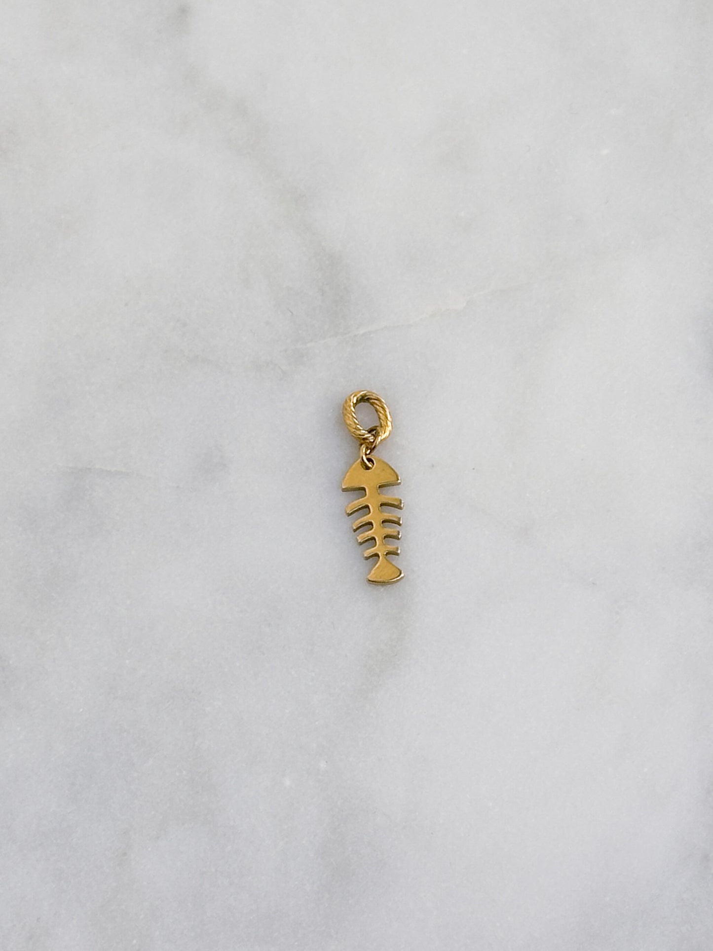 Fish Skeleton Charm