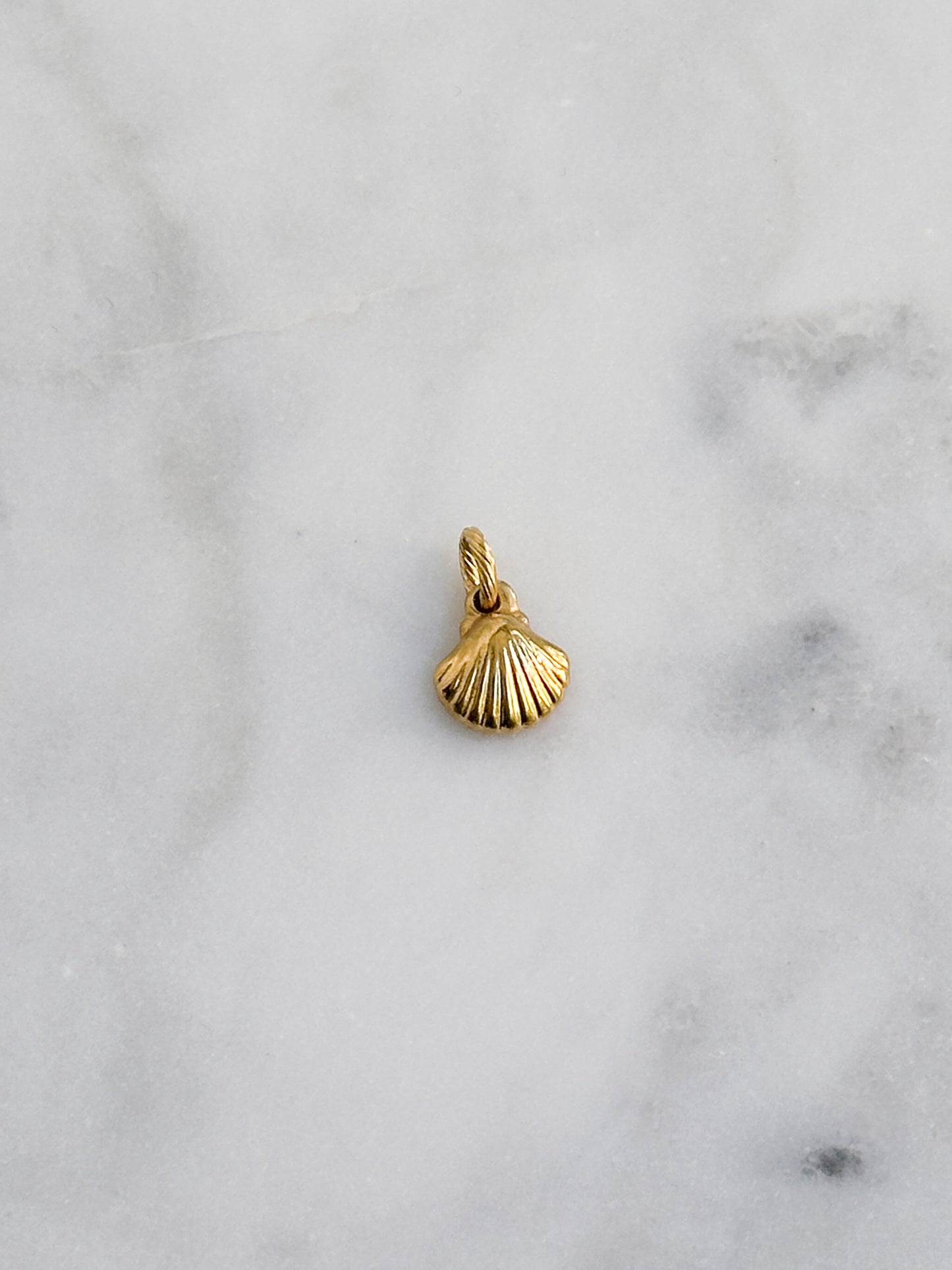 Scallop Shell Charm