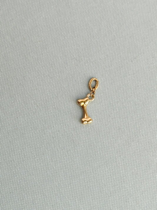 Bone Charm