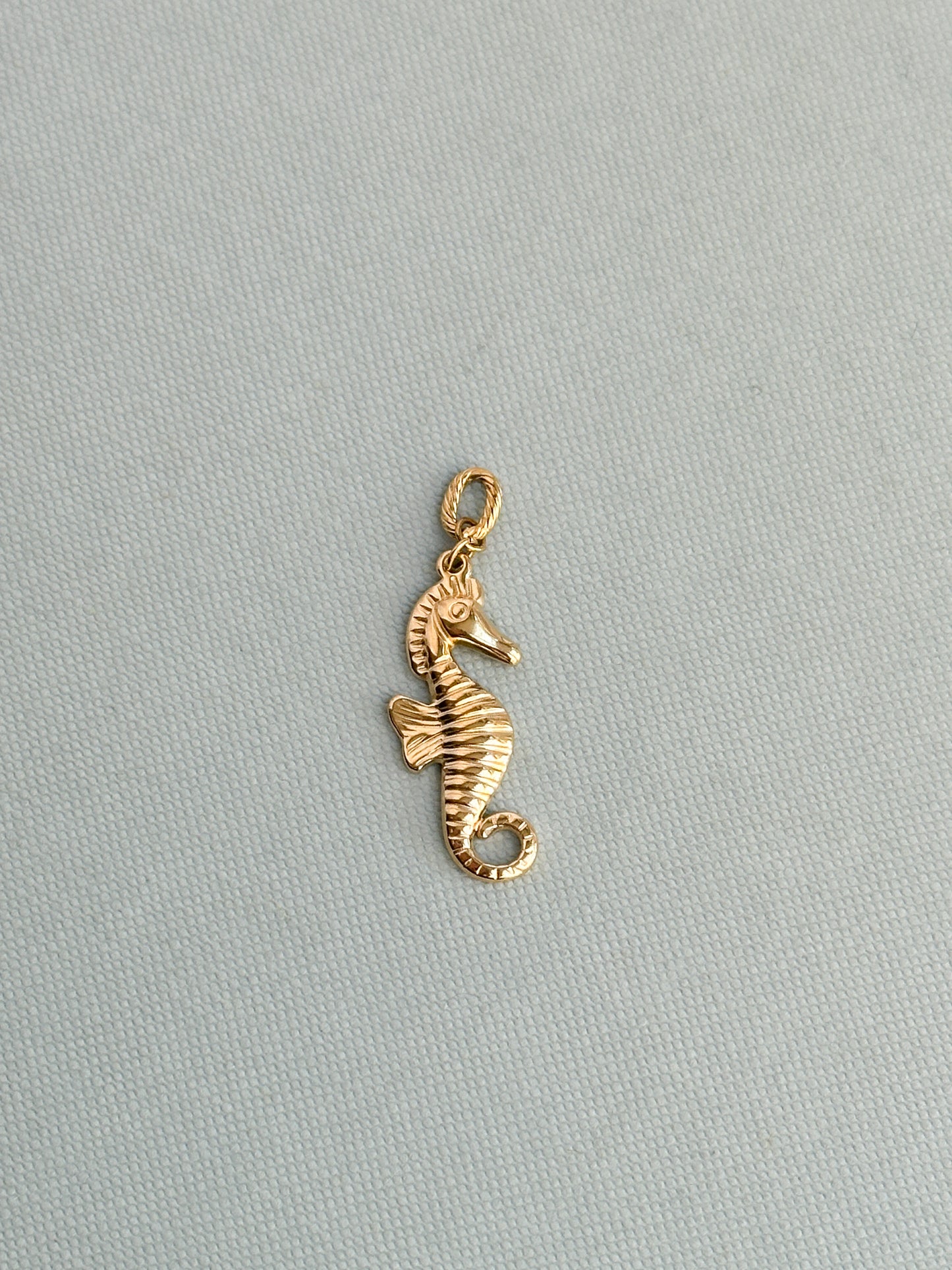 Seahorse Charm