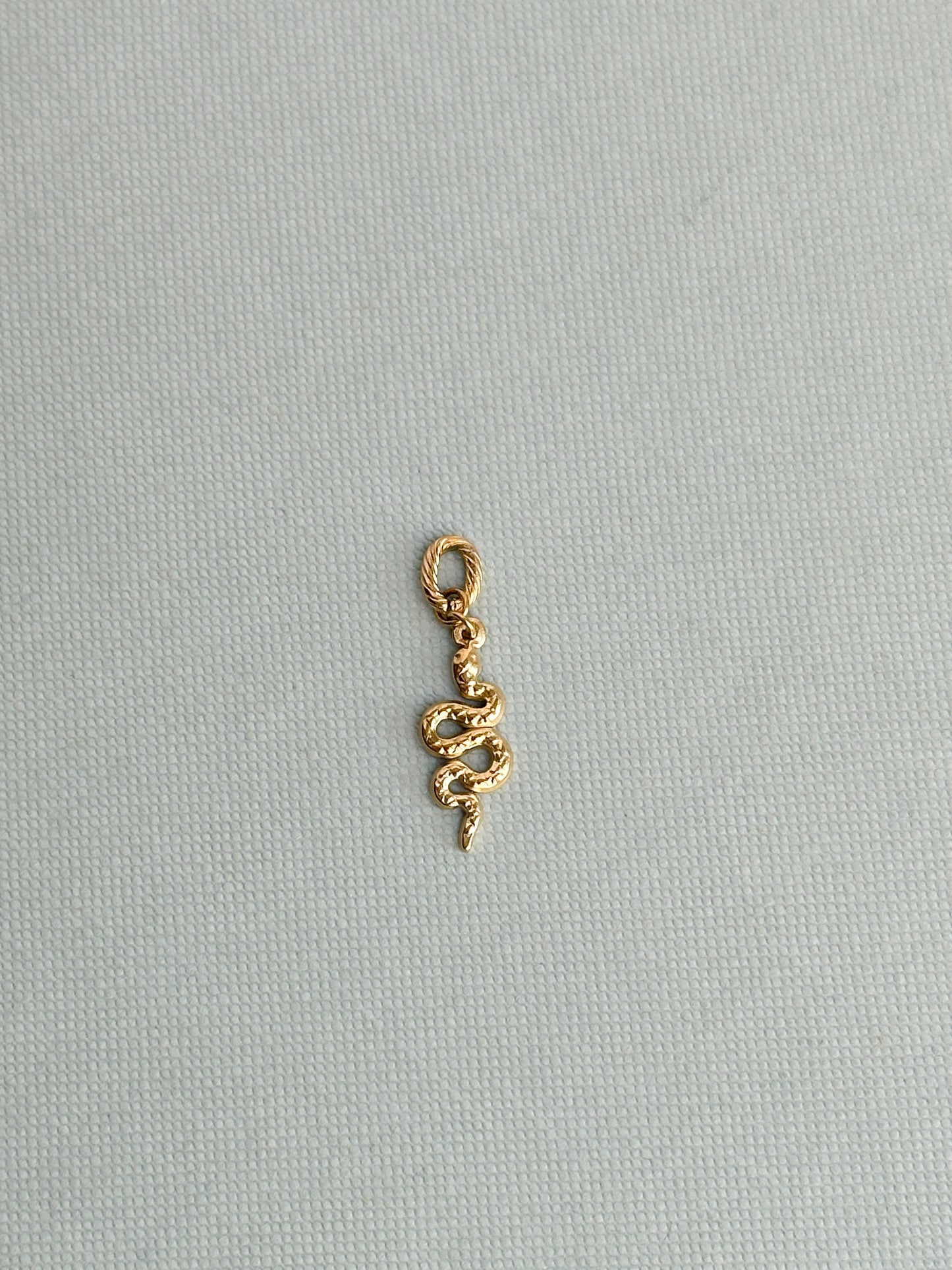 Snake Charm