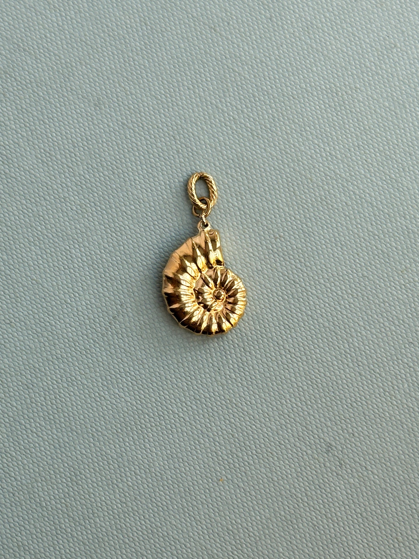 Conch Charm