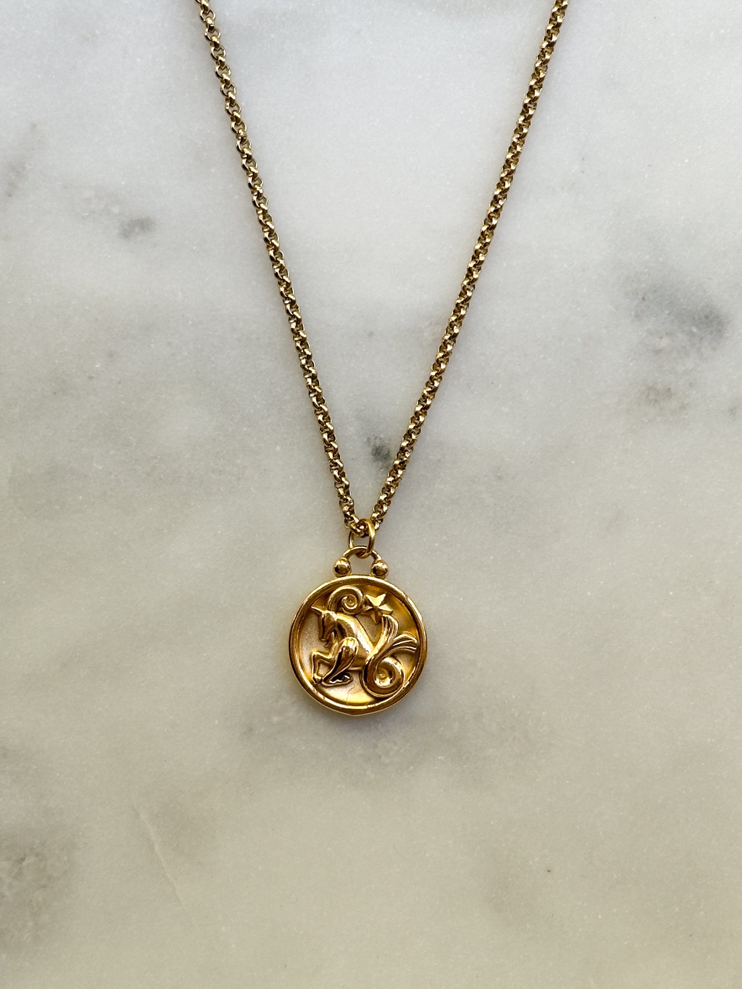 Double Sided Zodiac Pendant